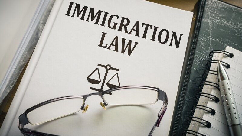 Immigration Law